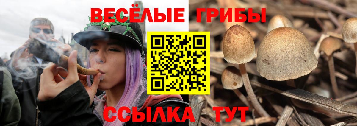 Псилоцибиновые грибы мухоморы  Галлюциногенные грибы мухоморы  Вход с VPN  Чернушка 